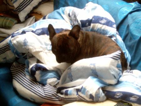 vox qui plane a 20000