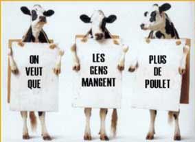 c'est une vache r�volution